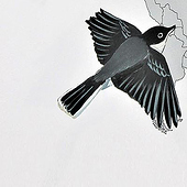 “Potsdamer Begegnungen” from Aleksandra Koneva