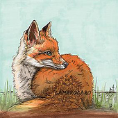 “Aquarell Waldtier-Illustrationen” from Caroline Körner