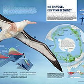 „Infografik Albatros“ von Bartolomé Ramis de Ayreflor