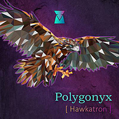 „Polygonyx“ von Daniel Klein