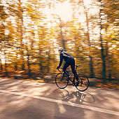 „Into The Woods“ von Fahrrad Fotograf