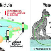 „Informationsgrafik“ von Lisa Kochenburger