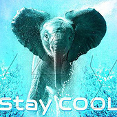 «Stay Cool» de * Designerin *