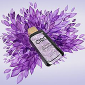 „Aquarell Key Visual Illustration Parfums Ciro“ von Anja Brüninghaus