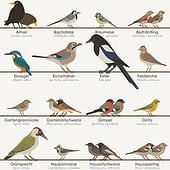 „Schautafel Heimische Singvögel“ von Iris Luckhaus
