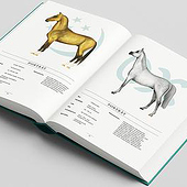 „Enzyklopädie der Pferde“ von Martina Helfrich