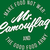 “Mr. Camouflage Brand Identity” from the other ones.