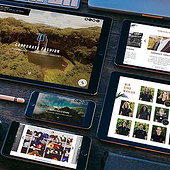 „Wailua Website“ von Nextblick Digital Agency | Internetagentur Frankfurt