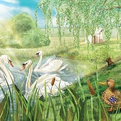 „Die Geschichte der kleinen Ente“ von Christian Breil