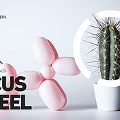 „Eine Anwaltskanzlei wird digital!“ von Katharina Bau Designstudio Hamburg