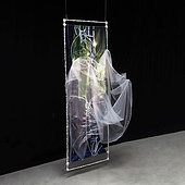 «Distorted Plausibilities» de Celine Altkorn