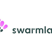 “swarmlab Brand Design” from Johanna Fischer