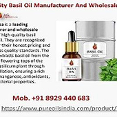«AG Organica: Basil Oil Manufacturer And Wholesale Supplier» de Ag Organica