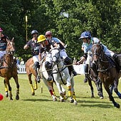 “Polo in Braunschweig” from Torsten Spinti