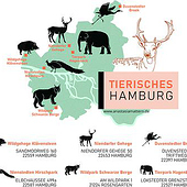 “„Tierisches Hamburg“, Kartenillustration” from Anastasia Mattern