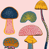 “„Mushroom Mood“, Musterkollektion” from Anastasia Mattern