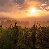 “Landschaftsfotografie & Naturfotografie” from R.k. Flatfield