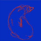 «Illustration» de Marie Englhard