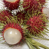 «Fotografie» von Alexander Graell