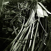 „Schwarz-Weiß Fotografie“ von Eduard Muehren