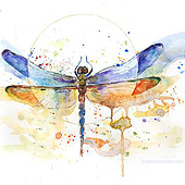 „Illustration“ von Dr. Christine Geier