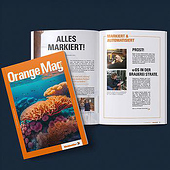 «Editorial Design» de Mareike Pennig