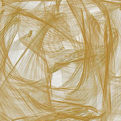 Designer: „Digitale Bilder“ von Reinhard Elsasser