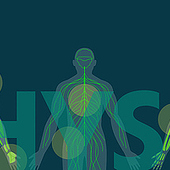 Designer: „Osteopathie & Physiotherapie Lange Webdesign“ von Atelier Beau*