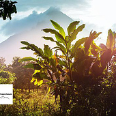 «Isac Schwarzbaum’s Journey Through Costa Rica» de Isac Schwarzbaum