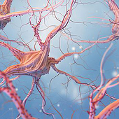 «neurologist.com.sg—Brain specialist Singapore» de neurologist.com.sg—Brain…