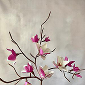 Agenturen: „Blumenkatalog – Handgefertigte Papier- & Stoffbl“ von Kimspaperflower