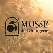 Designers: “Logo Design” from Jennifer Maier