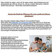 «Newsletter» de Fiona-Noelle Voß