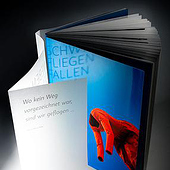 „Schweben, Fliegen, Fallen“ von Frank Schubert