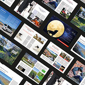 „Referenzen Layout“ von Gerald Pötz