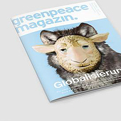 «Gestaltung des Greenpeace Magazin» de Inka Schnettler