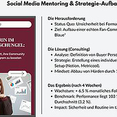 „Mentoring-Projekt (Consulting & Wachstum)“ von Elisa Thanner