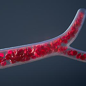 Designers: “Portfolio　” from Azusa Kuno