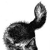 Designers: “Handgzeichnete Illustrationen” from Madeline Hopp