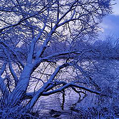 Agenturen: «Winterlandschaften in Bremen» von Oliver Schoon