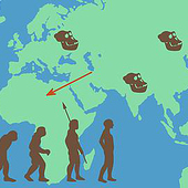 “Animation: Frühe Menschliche Entwicklung” from Anna Voigtländer