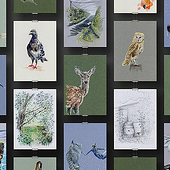 «Illustrationen – Natur» von Johanna Sterrer