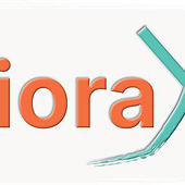 «LioraX – Logo & flexible Social-Media-Signatur» de LioraX Barbara Heindl