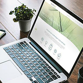 «Markenrelaunch für nachhaltigen Wirtschaftsverba» von Julia Zaadstra