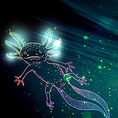 «Illustrationen I» de Arthur Yves Klein