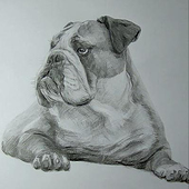 Designer: «Illustration» von Anna Kühne