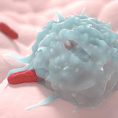 «Medical 3D-Illustration» de medicfilm® Andrej Piatkowski