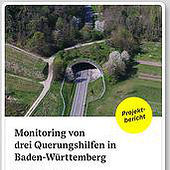 Agencias: «Mehr Sicherheit im Straßenverkehr» de Kreativbetrieb Designagentur