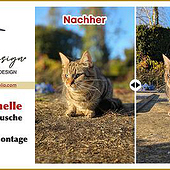 Agenturen: «Professionelle High-End Retusche & kreative Foto» von Irena Stankovic