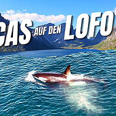Agenturen: «Longform Schnitte für YouTube Vanlife Kanal» von Mirco Brüning